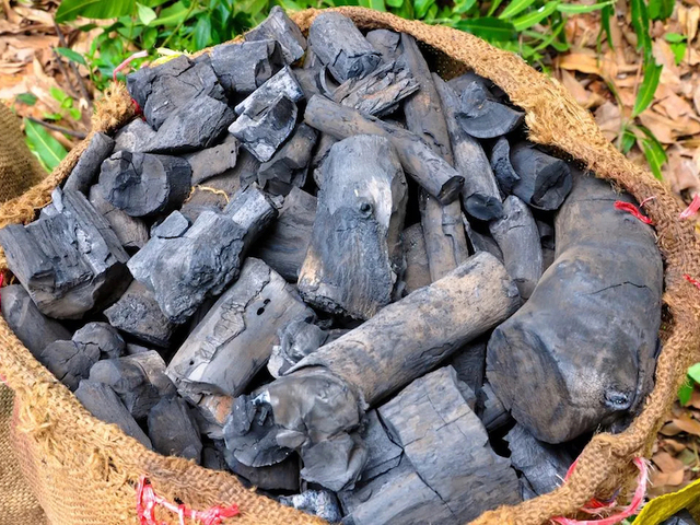 Ban on Commercial Charcoal, and Timber Trade in Gulu